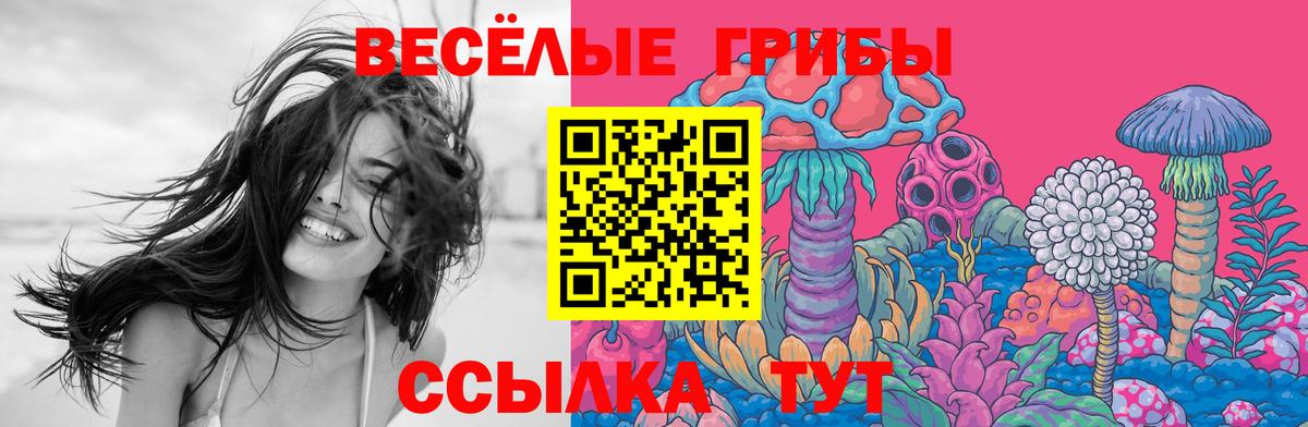 Псилоцибиновые грибы мицелий Верхний Уфалей